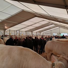 IMG_20260317_104759268_HDR - Copie (2).jpg