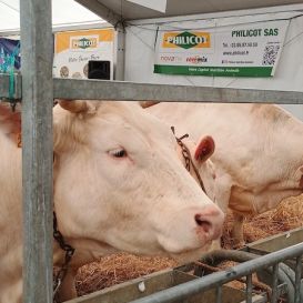 IMG_20260317_105028680 - Copie (3).jpg