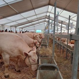 IMG_20260317_105103632_HDR - Copie (3).jpg