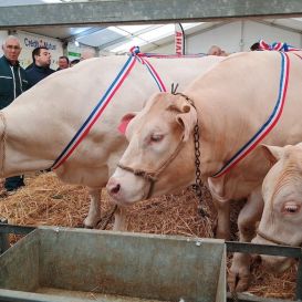 IMG_20260317_104950459 - Copie.jpg