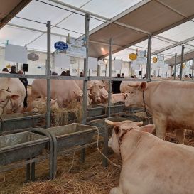 IMG_20260317_104940667_HDR - Copie.jpg