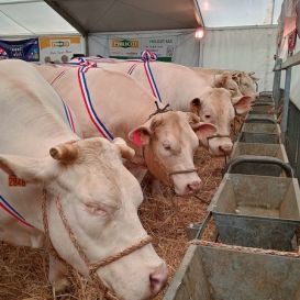 IMG_20260317_104903793_HDR - Copie (2).jpg